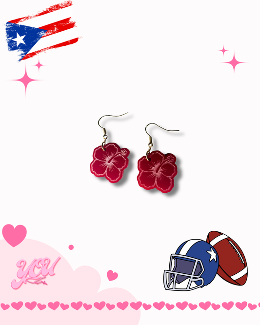 Superbowl Earrings
